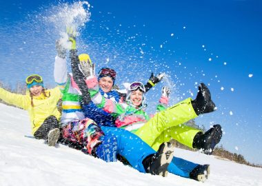 Animations et activités