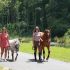 LOCATION DE PONEY avec CAVAL&rsquo;OISANS – 30 MIN
