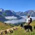 Sortie en alpage – À la rencontre du berger – Auris-en-Oisans