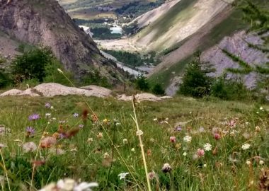Randonnée 1/2 journée avec un accompagnateur