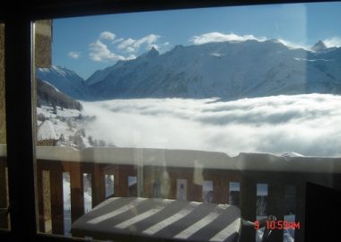 Les Chardons « Bleus »