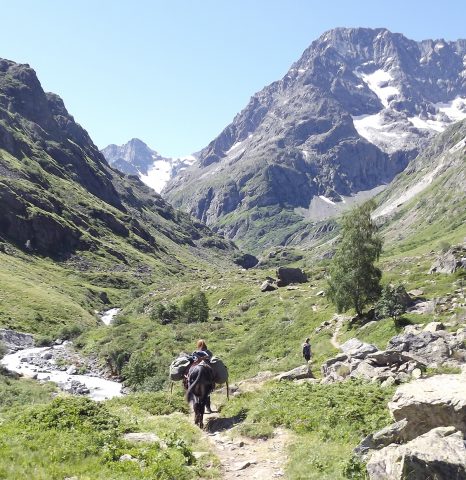 Provenc&rsquo;ânes