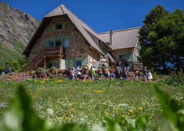 Visites guidées du jardin du Lautaret