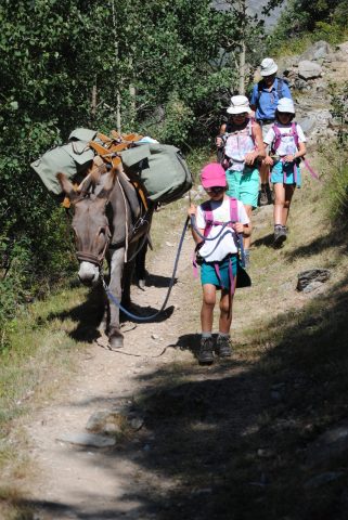 randonner avec un âne