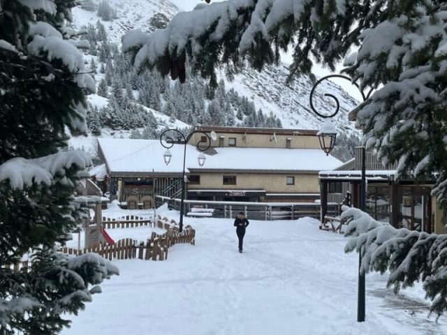 Les nigritelles B 4 – 41