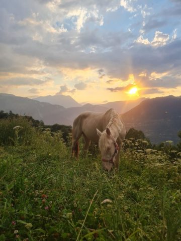 Balade à cheval – Centre Equestre des 2 Alpes Prej&rsquo; Alpes_Les Deux Alpes