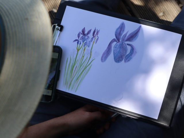 Stage d&rsquo;aquarelle naturaliste_Villar-d&rsquo;Arêne