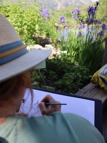 Stage d&rsquo;aquarelle naturaliste_Villar-d&rsquo;Arêne