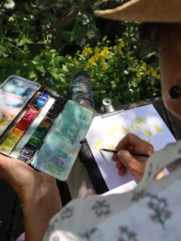Stage d&rsquo;aquarelle naturaliste_Villar-d&rsquo;Arêne