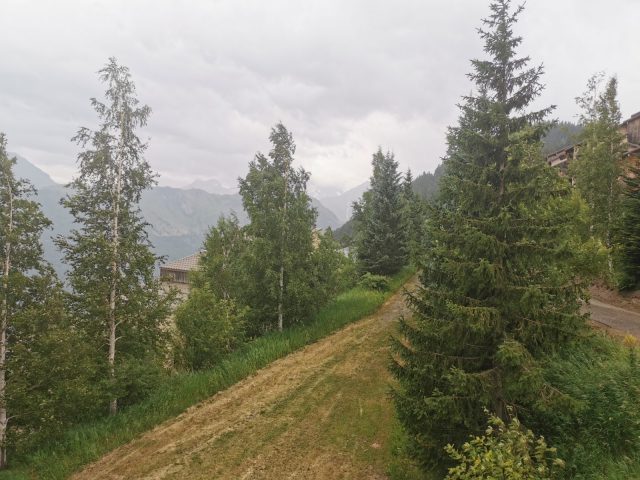 Les Nigritelles A_Auris-en-Oisans