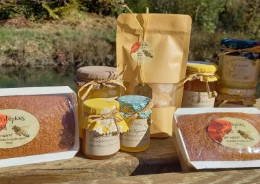 Les abeilles du Quillon