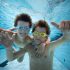 Jardin aquatique famille