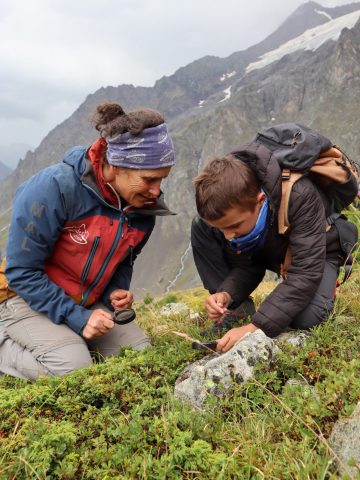 Découverte des plantes médicinales et comestibles avec Anne ZANOLIN_La Grave