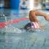 Cours de natation adultes