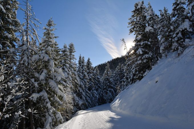 Foret de Piégut – en raquettes depuis Auris-en-Oisans_Auris-en-Oisans
