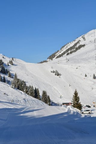 Foret de Piégut – en raquettes depuis Auris-en-Oisans_Auris-en-Oisans
