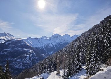Forêt de Piégut – en raquettes depuis Auris-en-Oisans