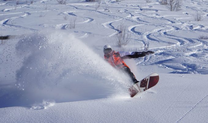 Pro ski