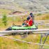 Luge sur rail