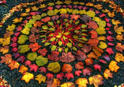 Fresque nature – Land art