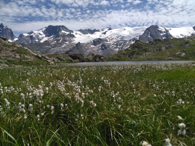 plateau d’emparis