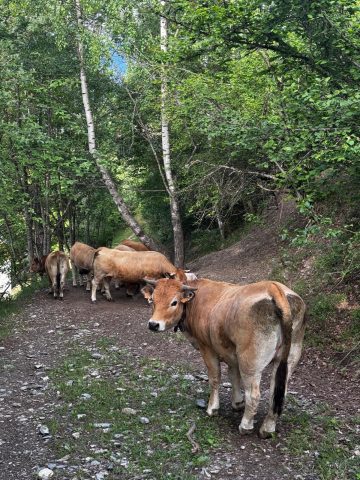 Auris – Plancet – Rando Boucle_Auris-en-Oisans