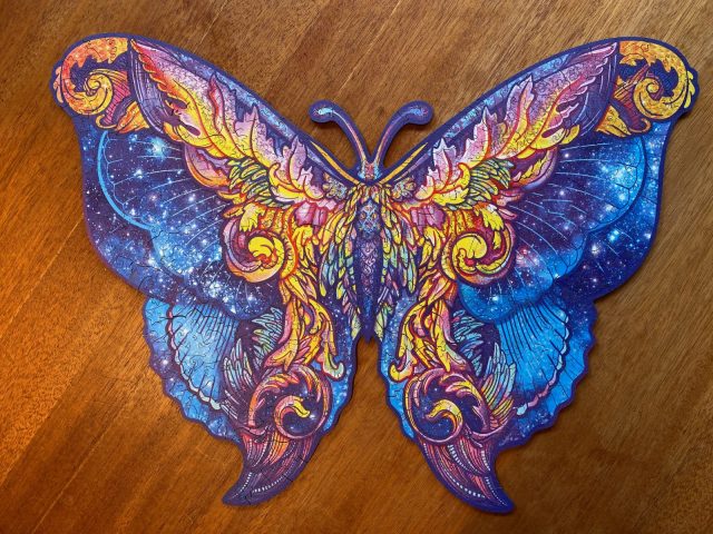 Papillon.jpeg