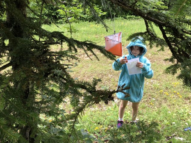 Enfant et balise