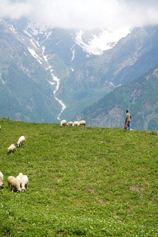 SORTIE EN ALPAGE ST CHRISTOPHE EN OISANS_Saint-Christophe-en-Oisans