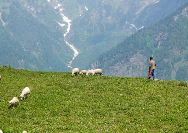 SORTIE EN ALPAGE ST CHRISTOPHE EN OISANS