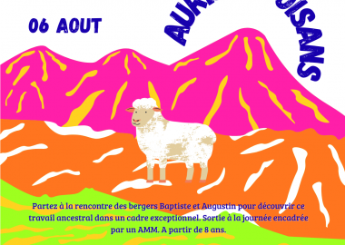Sortie en alpage – À la rencontre du berger – Auris-en-Oisans