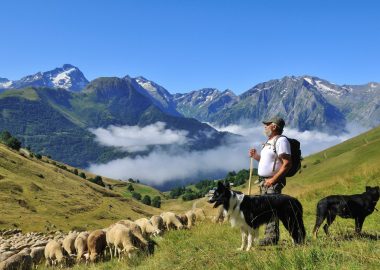 Sortie en alpage – À la rencontre du berger – Auris-en-Oisans