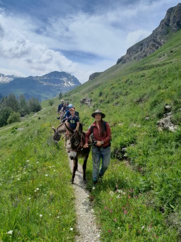 balade accompagnée – Copie.jpg