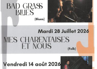 Concert Bad Grass Blues