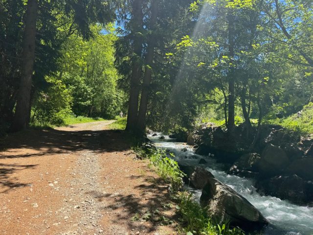 Dans les gorges de Sarenne