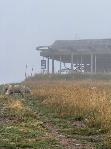 Les Sûres en septembre quand l&rsquo;alpage arrive