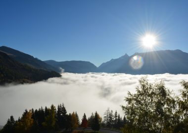 4 – Trail express forestier