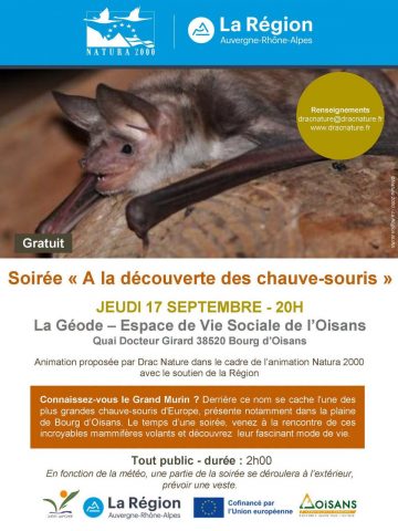 Soirée « A la découverte de la chauve-souris »_Le Bourg-d&rsquo;Oisans