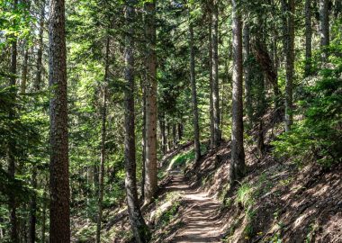Sentier du Bucheron – Randonnée depuis la station d&rsquo;Auris-en-Oisans