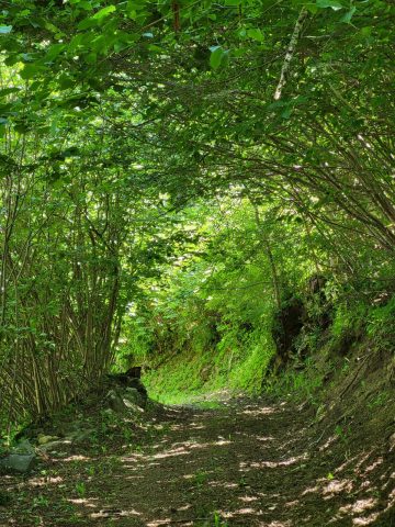 En chemin vers les hameaux