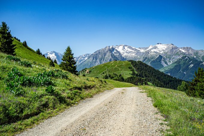 Vue sur les Sures et les Ecrins