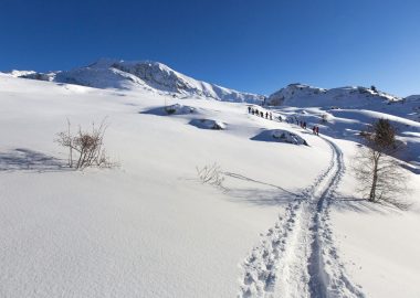 Rando Raquettes – Bureau des Guides et accompagnateurs Oisans Alpe d&rsquo;Huez