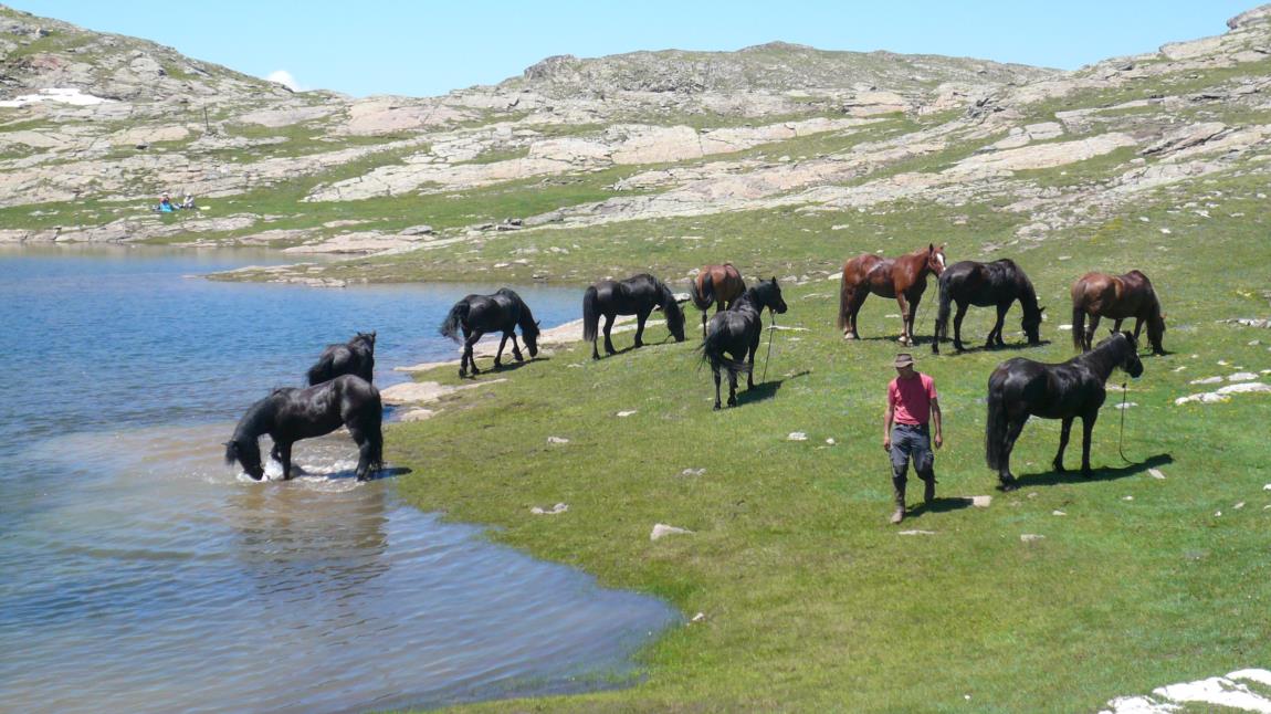 A cheval en Oisans – Le lac du Carrelet