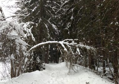 Balade en raquettes – Venosc Village – Cascade de la Muzelle