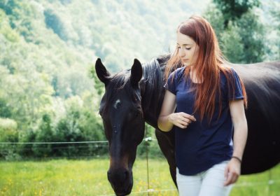 Equidanse Mediation Equine